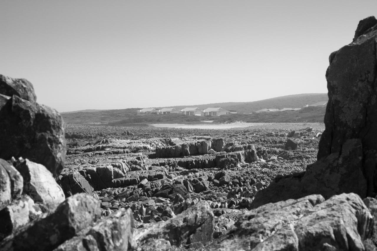 Gourikwa Coastal Nature Reserve Gouritzmond Buitenkant foto