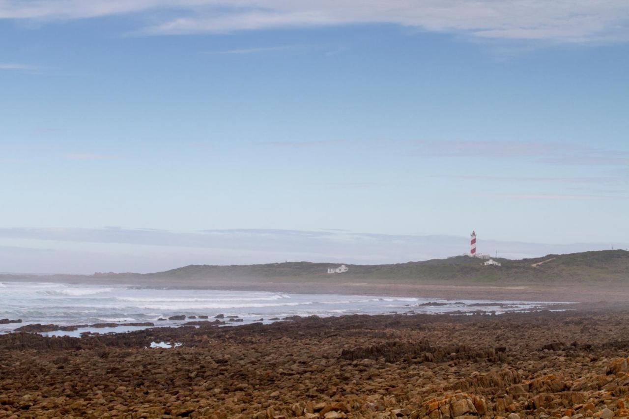 Gourikwa Coastal Nature Reserve Gouritzmond Buitenkant foto
