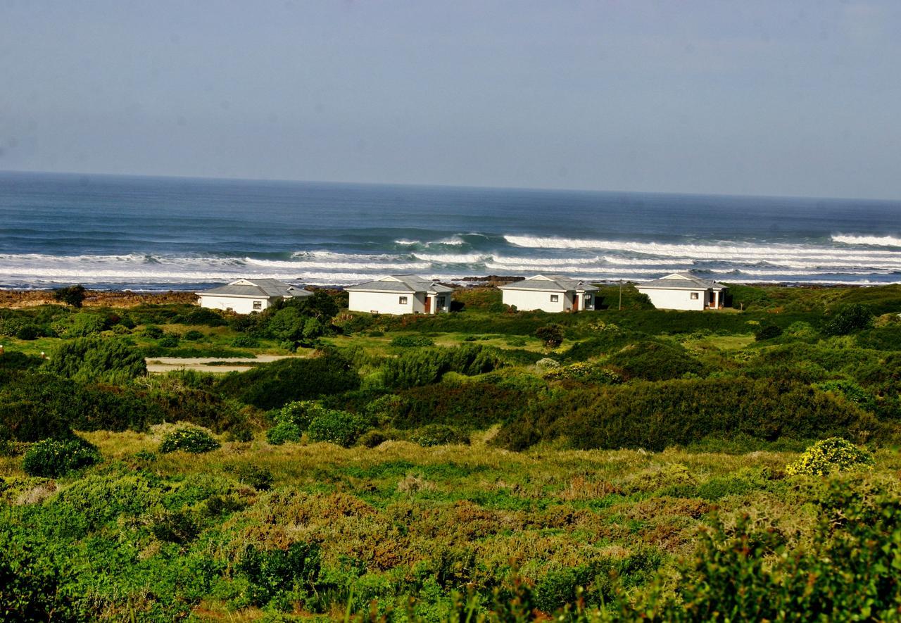Gourikwa Coastal Nature Reserve Gouritzmond Buitenkant foto